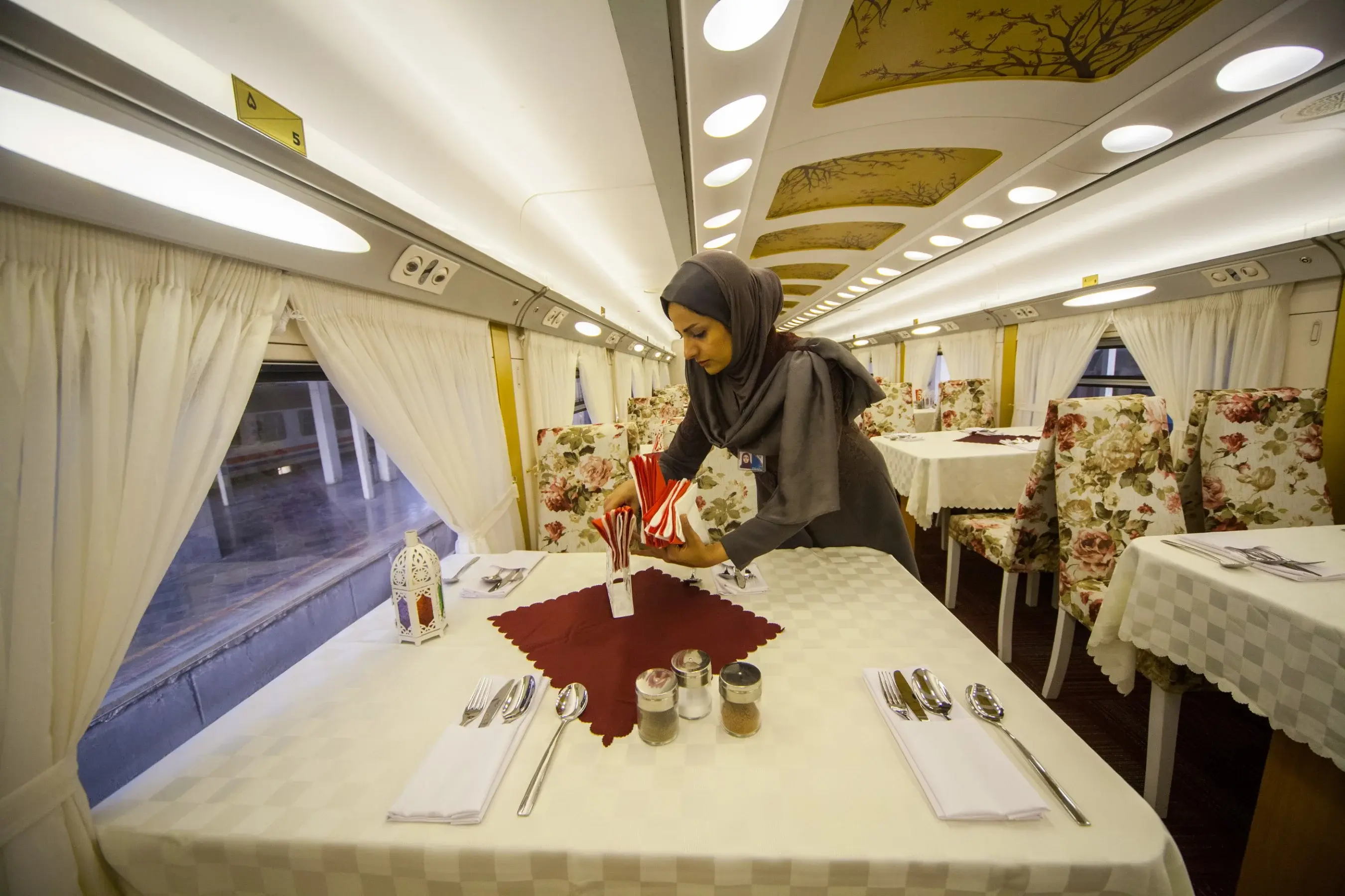 Raja Train Luxury Coupe